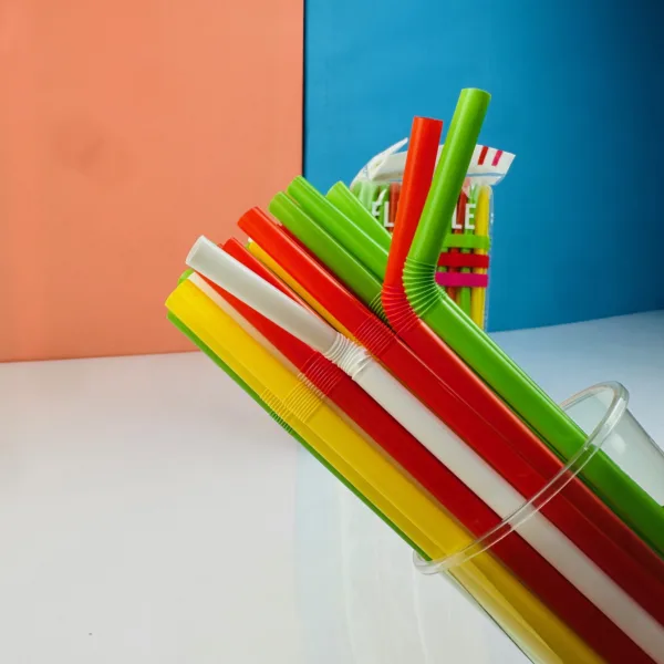 Pailles multicolores – Image 4