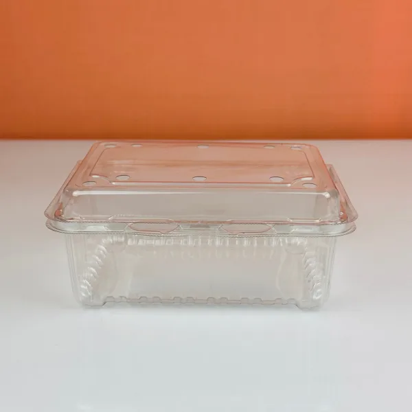 Barquettes à clapet xgl-500 – Image 2