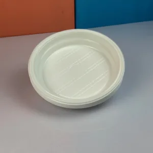 Assiettes blanches en plastique 20cm