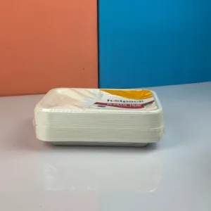 Assiettes en plastique réutilisables hotpack 22x16cm