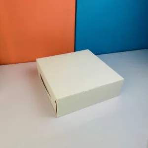 Cakebox blanc 30x30x10cm