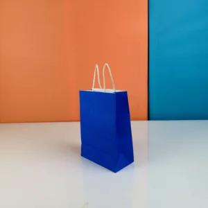 Sacs 20x15cm bleu en kraft
