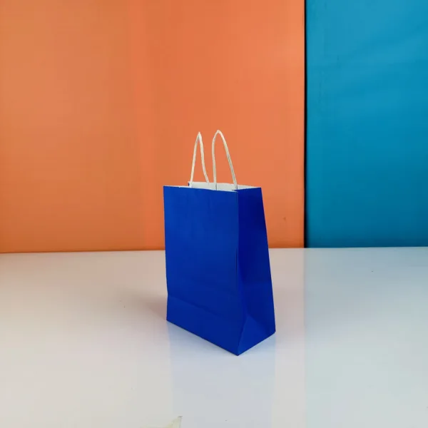Sacs 20x15cm bleu en kraft