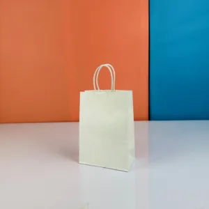 Sacs 20x15cm blanc en kraft
