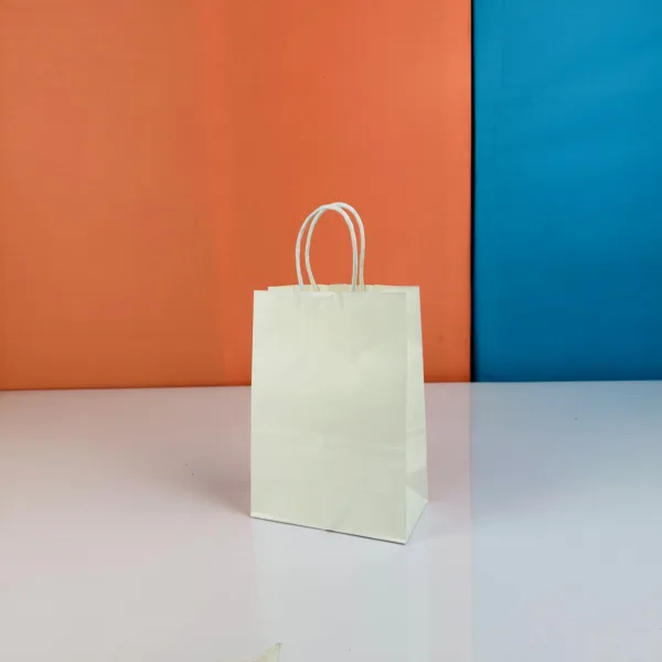 Sacs 20x15cm blanc en kraft