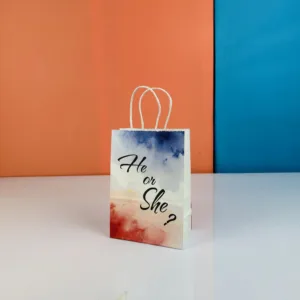Sacs 20x15cm en kraft he or she