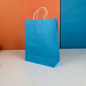 Sacs 33x26cm bleu en kraft