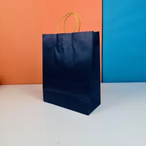 Sacs 33x26cm bleu nuit en kraft