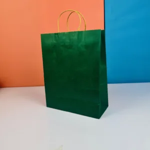 Sacs 33x26cm vert forêt en kraft