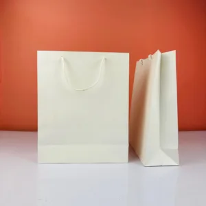 Sacs en carton blanc avec manche 23x18cm
