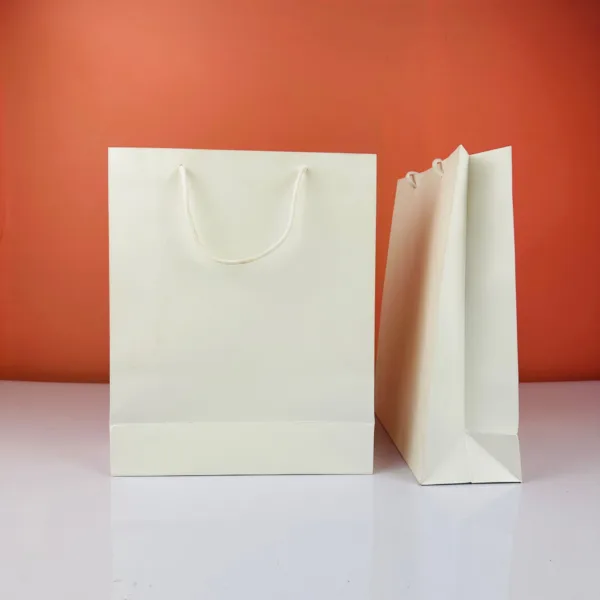 Sacs en carton blanc avec manche 23x18cm