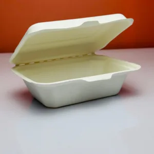 Barquettes en carton en bagasse de canne à sucre