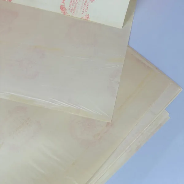 Papier duplex ingraissable boucherie 37x26cm – Image 2